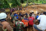 10 korban tewas akibat tanah longsor di Pesisir Selatan