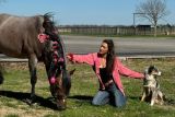 Bella Hadid dan pacar barunya hadiri acara Texas Rodeo