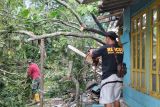 Waspada potensi angin kencang di Jateng selatan