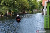 BNPB: Tujuh warga Kudus meninggal akibat banjir