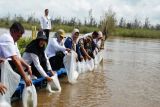 Program restocking ikan bantu tingkatkan pendapatan nelayan