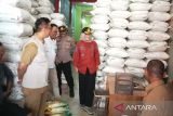 Ketersediaan ayam potong di Palangka Raya aman hingga Idul Fitri