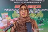 DPKP Kotim investigasi kematian ternak babi di Telawang