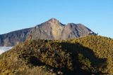 Jalur pendakian Gunung Rinjani Lombok, dibuka lagi