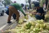 Berharap rupiah berlipat dari kulit ketupat