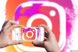 Instagram lakukan uji coba kisi profil vertikal