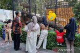 19 ribu wisatawan banjiri Kebun Binatang Surabaya
