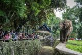 400 ribu wisatawan banjiri Ragunan  Jakarta