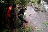 10 ular sanca dilepas ke hutan lindung Kota Pekalongan