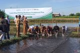 eFishery bersama KKP bersama mitra luncurkan budidaya tradisional plus