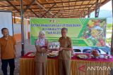 Pemkab Sigi terima bantuan bubuk kelor untuk penanganan stunting