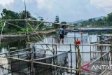 Tak punya laut, Purwakarta tetap penghasil ikan terbesar