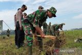 Pemkab Batang gandeng Kodim buka lahan pertanian 1.414 hektare