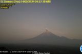 Gunung Semeru, Lumajang, Jatim, erupsi, letuskan abu vulkanik tinggi