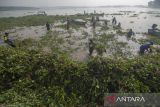 Aksi gotong royong membersihkan Waduk Cengklik dari eceng gondok