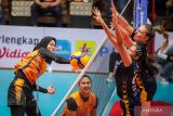 Proliga 2024 - Popsivo belum terbendung usai hajar Gresik Petrokimia 3-0