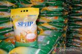 Bulog kirim 100 ton beras ke Natuna Kepri