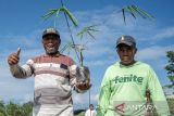 Peringatan Hari Keanekaragaman Hayati  Sedunia di Palu