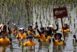 Peringati Hari Keanekaragaman Sedunia, ABM Group libatkan 100 volunteers tanam 600 pohon