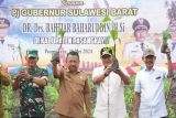 Pj Gubernur dorong Sulbar jadi penghasil sukun