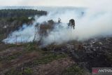 KLHK tindak tegas perusak lingkungan cegah bencana hidrometeorologi