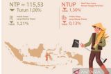 BPS: NTP perkebunan rakyat alami kenaikan 3,5 persen