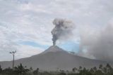 Gunung  Lewotobi Laki-laki alami erupsi lima kali