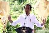 Jokowi sebut pengunduran diri Kepala dan Waka OIKN karena alasan pribadi