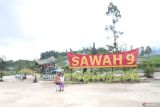 Menikmati Wisata Kuliner Sawah 9 di lembah terpelosok antara tiga gunung Sumbar