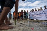 Lindungi pulau dengan tanam mangrove