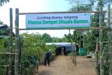 Beralih menjadi peternak plasma Jalupang bersama Dompet Dhuafa Banten