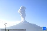 Gunung Lewotobi Laki-laki semburkan abu vulkanik 800 meter