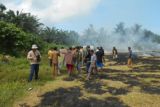 Pemprov Sulbar melakukan penghijauan di sungai Lariang