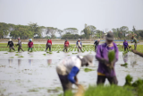 Refocusing anggaran pertanian hadapi El nino