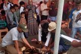 Idul Adha, Dewan Dakwah Lampung sebar ratusan hewan kurban