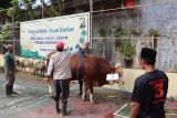 Polres  Wonosobo bagikan 600 kupon daging kurban kepada masyarakat