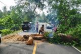 Polisi evakuasi pohon tumbang tutupi Jalan Lintas Barat Krui