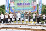 Pemkab Barito Utara berupaya tingkatkan produksi cabai besar dan rawit