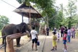 Liburan sekolah di Taman Margasatwa Lembah Hijau