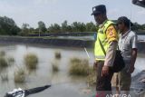 BKSDA Sumsel terima penyerahan  seekor buaya liar tangkapan warga