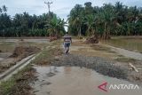 Pemkab Parigi Moutong data lahan pertanian rusak akibat banjir