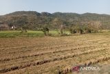 Bupati Bantul sebut lahan pasir merupakan potensi sumber kesejahteraan petani