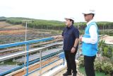 Menteri BUMN apresiasi gerak cepat PLN hadirkan energi bersih di IKN