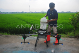Penyemprotan pestisida menggunakan pesawat drone