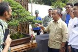 PPBI Pringsewu gelar pameran dan kontes bonsai nasional