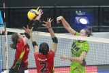 Proliga 2024 - Pertamina Enduro kandaskan Jakarta BIN pada laga pembuka final four