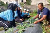 DSLNG bersinergi bentuk generasi sadar ketahanan pangan