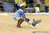 Melatih burung dara di masa libur sekolah