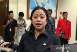 PDIP buka peluang mengusung Bobby Nasution di Pilkada Sumut