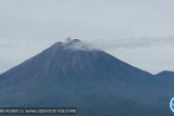 Gempa letusan dominasi aktivitas Gunung Semeru